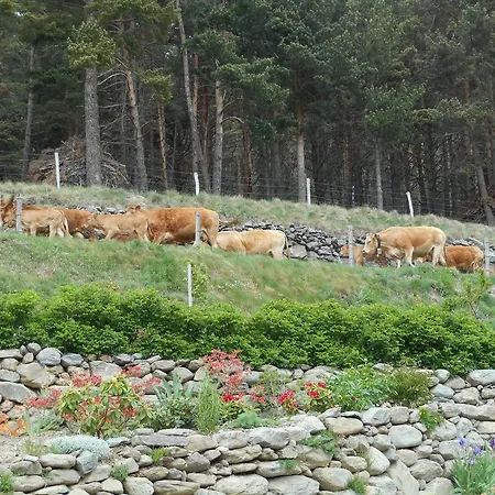 Chalet Du Soula Formiguères